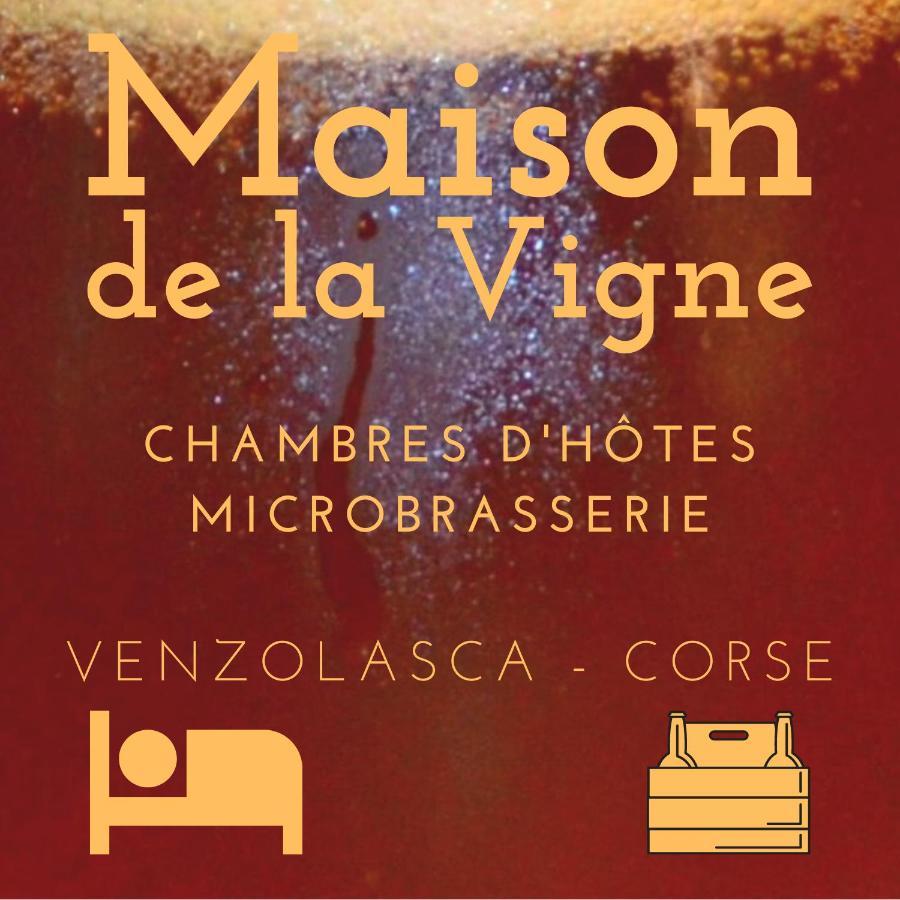Maison De La Vigne Venzolasca Exterior foto