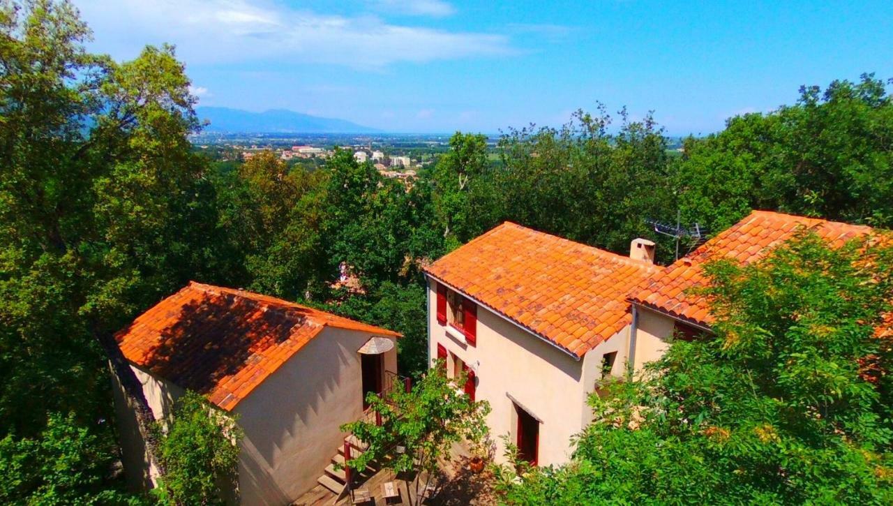 Maison De La Vigne Venzolasca Exterior foto