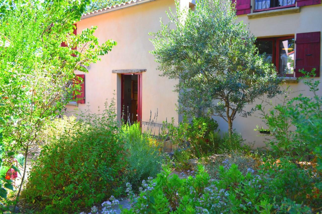 Maison De La Vigne Venzolasca Exterior foto